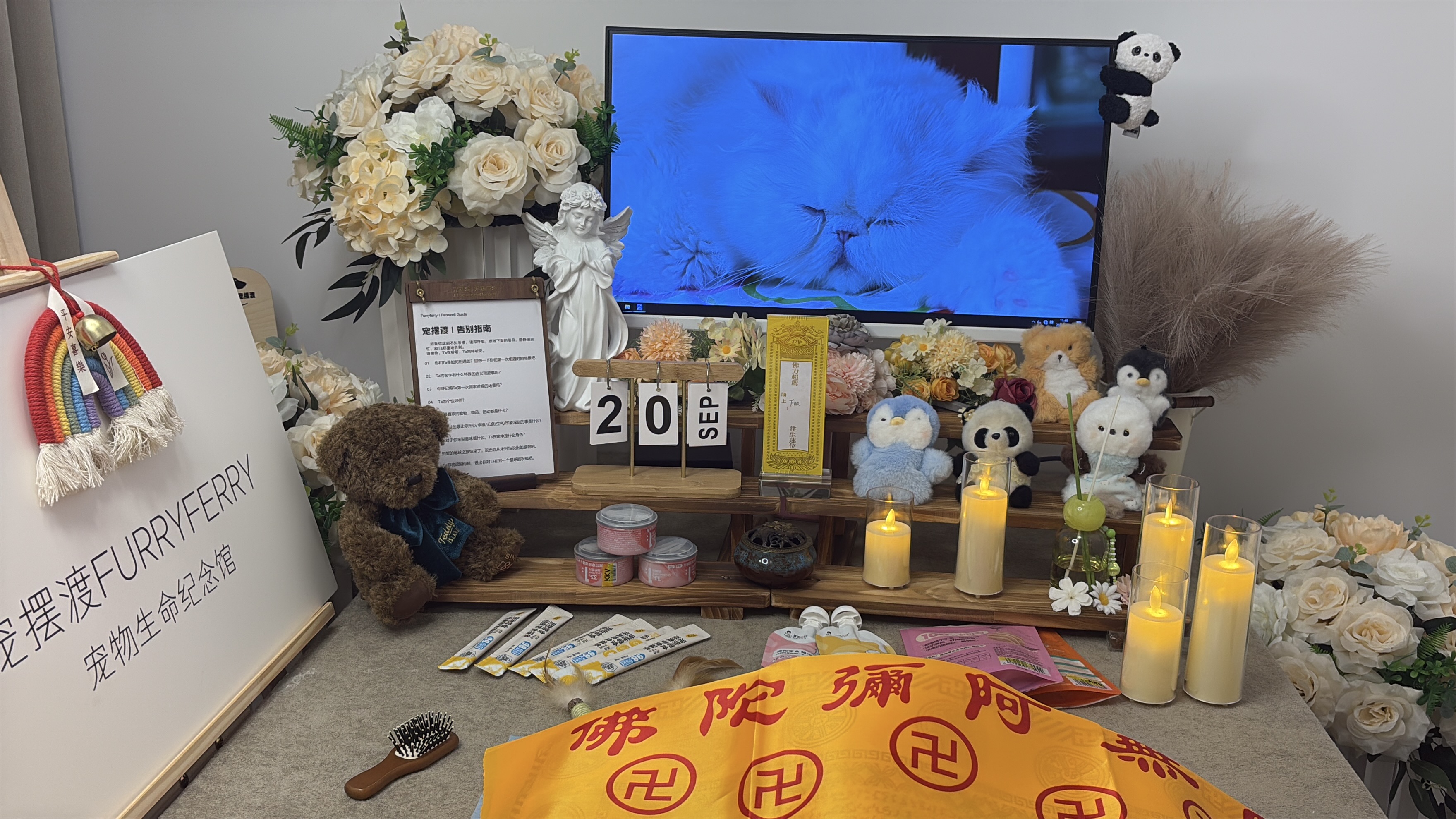 宠物告别纪念仪式